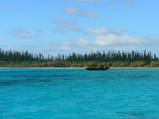 09- La baie d'Oro 
